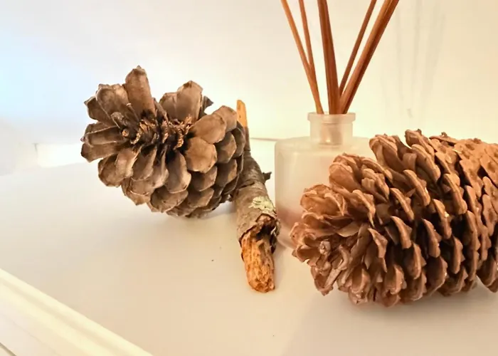 Le Cocoon De Marie Astrid- Centre&plage Appartamento