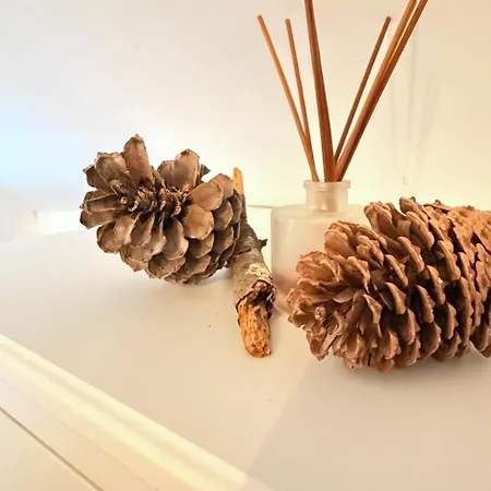 Le Cocoon De Marie Astrid- Centre&plage Apartment